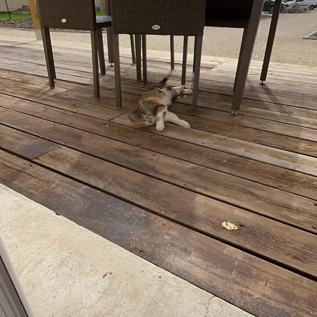 아파트 Edendebruges 브뤼헤