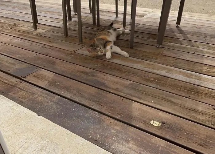 Apartamento Edendebruges Bruges